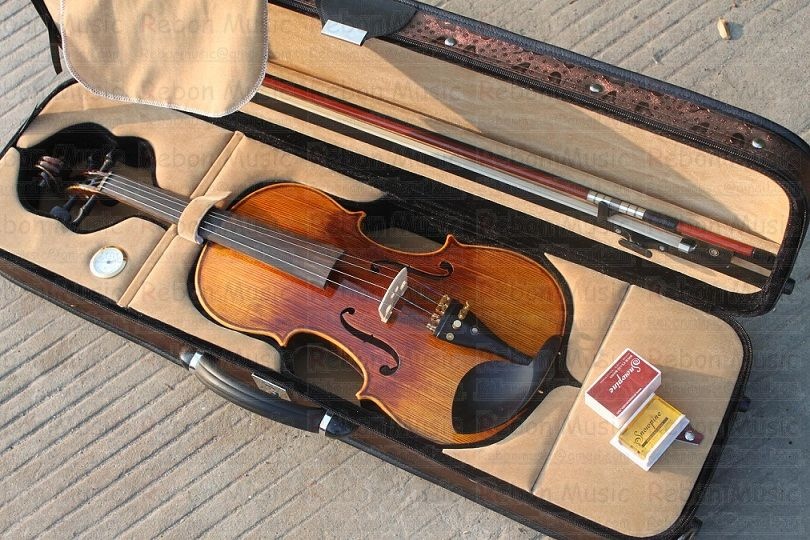 Professional Violin